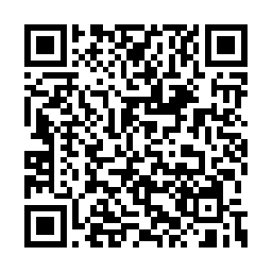 一点儿也不像是在生人面前说不出话来的样子嘛二维码生成