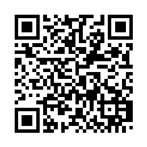 一点点修炼掌握凝练出的真法种子二维码生成