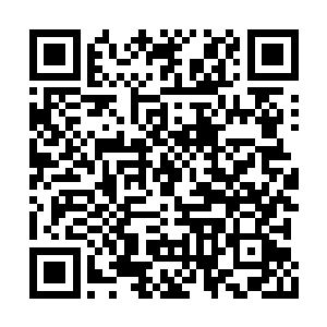 一点点的在洛离身边化作一道道的道纹道痕出现二维码生成