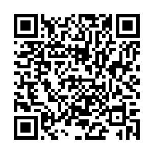 一点紫色灵火和一片金光同时向头顶的大网飞过去二维码生成