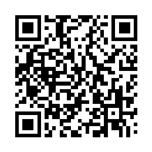 一点都没有满足这样数量的甲虫军队二维码生成