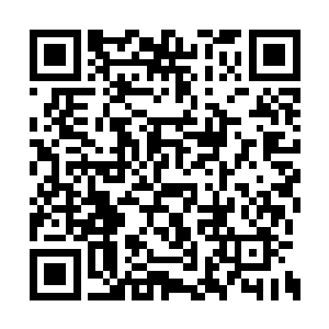 一点都没有自己的观点被这两个小辈反驳的恼怒二维码生成