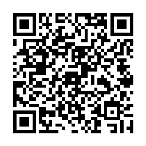 一点黄豆大小的灵光已经在雷天的掌心中飞舞不停二维码生成