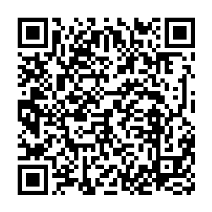一片占地约二十多亩的庄园就出现在张阳所乘坐的黑色的轿车面前二维码生成
