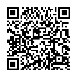一片火红莲海从许紫烟的脚下一圈圈急速地蔓延了出去二维码生成