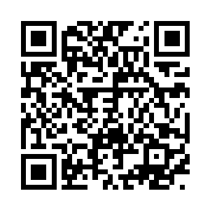 一片片几十甚至上百里的大树叶层层叠叠二维码生成