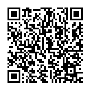 一片片的业火组成的火雨也疯狂的朝着下方的恶龙之魂上面倾泻而去二维码生成