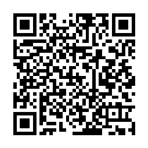 一片血雨夹杂着脑浆如喷射绽放的彩带和礼花一样二维码生成