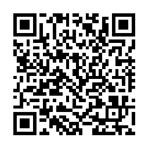 一片连绵不断的坚固城墙将白河谷地彻底包围了起来二维码生成