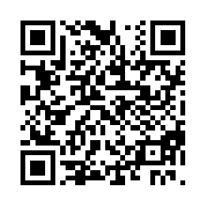 一片金灿灿的光芒自老树人的手心绽放二维码生成