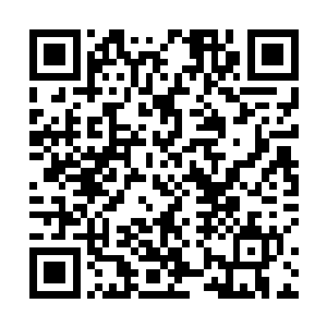 一片青龙鳞市价大概可以卖到六十至七十万水晶币左右二维码生成