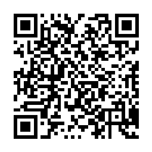 一百万他已经让表哥这次回gz的时候给冷柔带过去了二维码生成