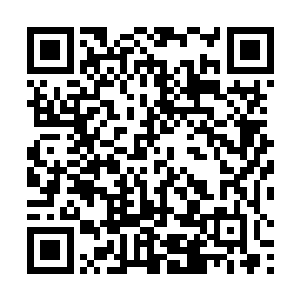 一百个你钱包之中的毛大头都买不到我这张弓的一个角二维码生成