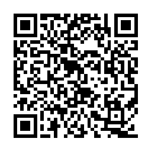一百亿第一次……一百亿第二次……一百亿成交二维码生成
