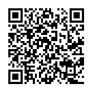 一百名武士听到龙造寺隆信赏赐他们见公不跪的殊荣二维码生成