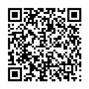 一百天内别玩死这个人――小于的性情中缺少狠辣二维码生成