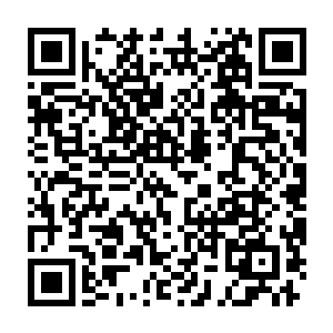 一百枚金币对于没有自由自身的奴隶战士和在海上拼搏的水手们而言二维码生成