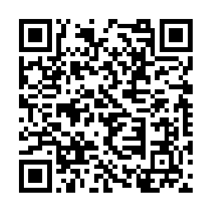 一百精英散发出来的气息夜染等人自然是感觉到了二维码生成