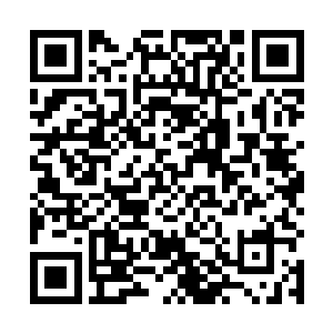 一直以为看守那跨界传送平台的是你罗天门的一名道尊二维码生成