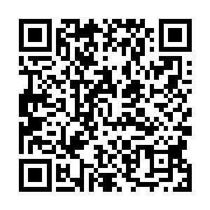一直以來只有风云修的几名师兄弟知道风云修的真正实力二维码生成