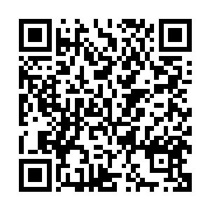 一直以来一有危险龙傲天就因为他们的实力弱而让他们躲起来二维码生成