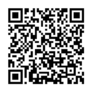 一直以来天龙宗的大阵可都是一直处于开启状态二维码生成