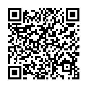 一直以来林思伊在公司人的眼里就是一个无所不能的老板二维码生成