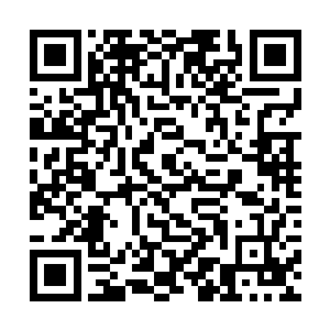 一直信奉演技第一的他虽然在与张东城的打赌中输了二维码生成