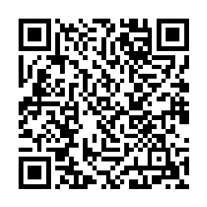 一直候在边儿上的应天府衙的皂隶们后脚便跟了过来二维码生成