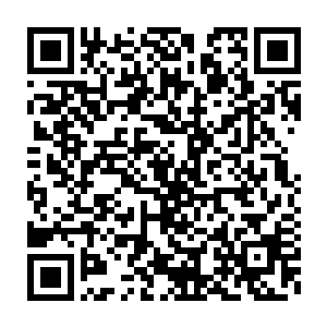 一直借着西夏军队和大爷分庭抗礼的二皇子一下子就丢了不少州府二维码生成