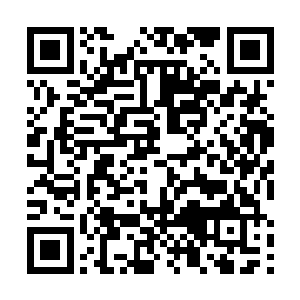一直关注着战场的众人都开始将注意力转移到马文这边二维码生成