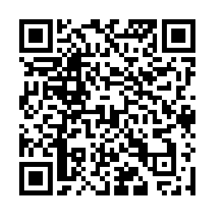 一直到了自己之前解下负重的地方都没有受到任何阻碍二维码生成