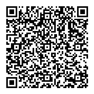 一直到前两夭医院刘院长找到白圃希望通过白圃吹吹枕头风让夏力行帮忙过问一下医院进口日本医疗检查设备的资金拨付问题时二维码生成