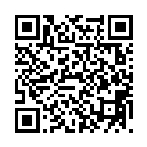 一直到寻找到你产生拍摄冲动的剧本二维码生成