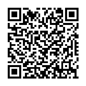一直到看到那两个飞来的人影是人族而不是魔族二维码生成