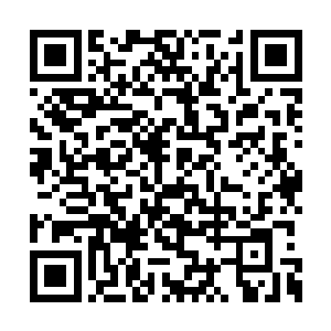 一直到第二日天刚刚亮起来都没有搜出什么结果二维码生成