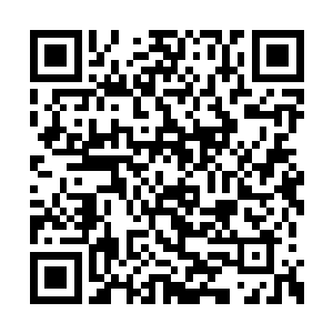 一直到精灵古神点出了他是努曼人的后裔的时候二维码生成