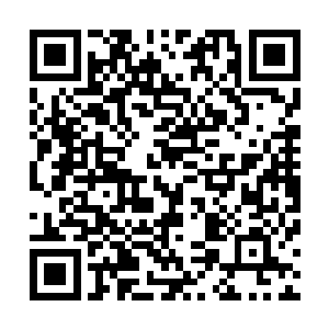 一直到距离九朵莲花百米开外重生之我的书记人生全文阅读二维码生成