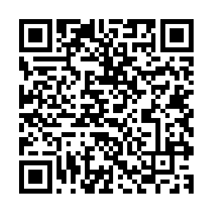 一直到这个时候听到围观的骑士之中有人喊出了百蛮山的名号二维码生成