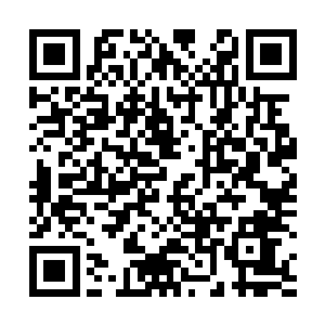 一直到2014年也没有形成一种独立特别的音乐风格二维码生成