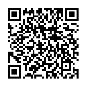 一直围在巨型岩蚁兽身边的其他岩蚁兽齐齐冲上半空中二维码生成