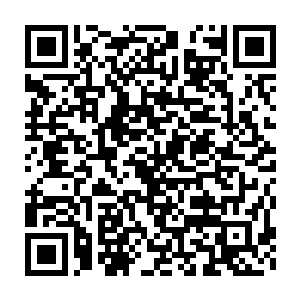 一直在各大电影里跑龙套的凯文在本片之中奉献了令人拍案叫绝的演出二维码生成