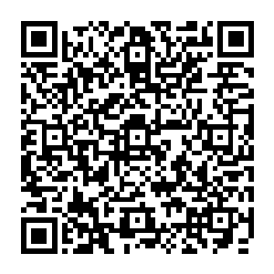 一直在困守着那缕来自黑色空间巨大心脏打入许紫烟识海的神识的金木水火土五灵二维码生成