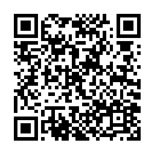 一直在外面守着的青霜等人一听到声音连忙走了进来二维码生成