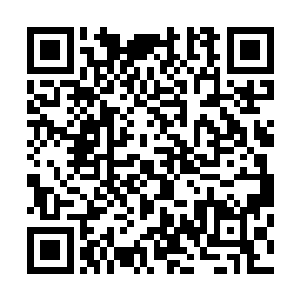 一直在好奇着将会由谁来完成终结荣耀至死的这个历史使命二维码生成