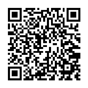 一直在客厅里徘徊的叶海凝被挂断的电话感到有点奇怪二维码生成