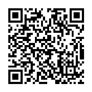一直在帮楚旬护法的九叔也似乎是感应到了楚旬的异动二维码生成