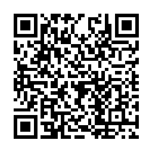 一直在旁边操控那些手环的洛大师突然捏了个法印二维码生成