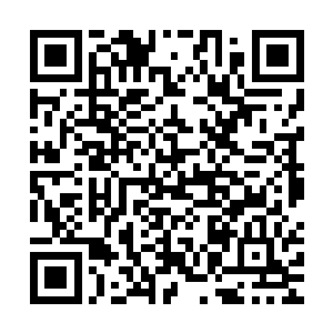 一直在水面下偷偷观察那些食人蜂动向的彘族人看食人蜂飞走了二维码生成