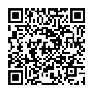 一直在流民之地隐姓埋名的种凉破天荒有些手痒了二维码生成